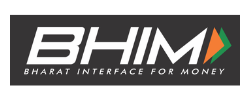 Bharat Interface for Money